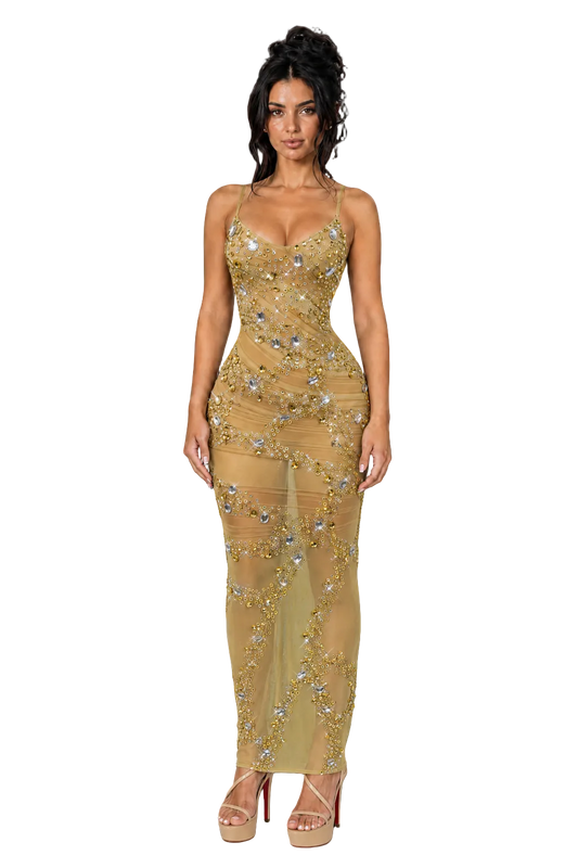 ELISA V Neck floor Gold Crystal Embellished Maxi Dress
